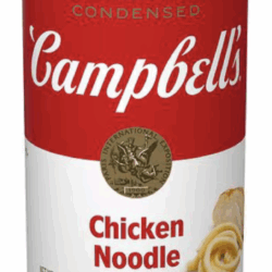 Campbell Chicken Noodle Stasher